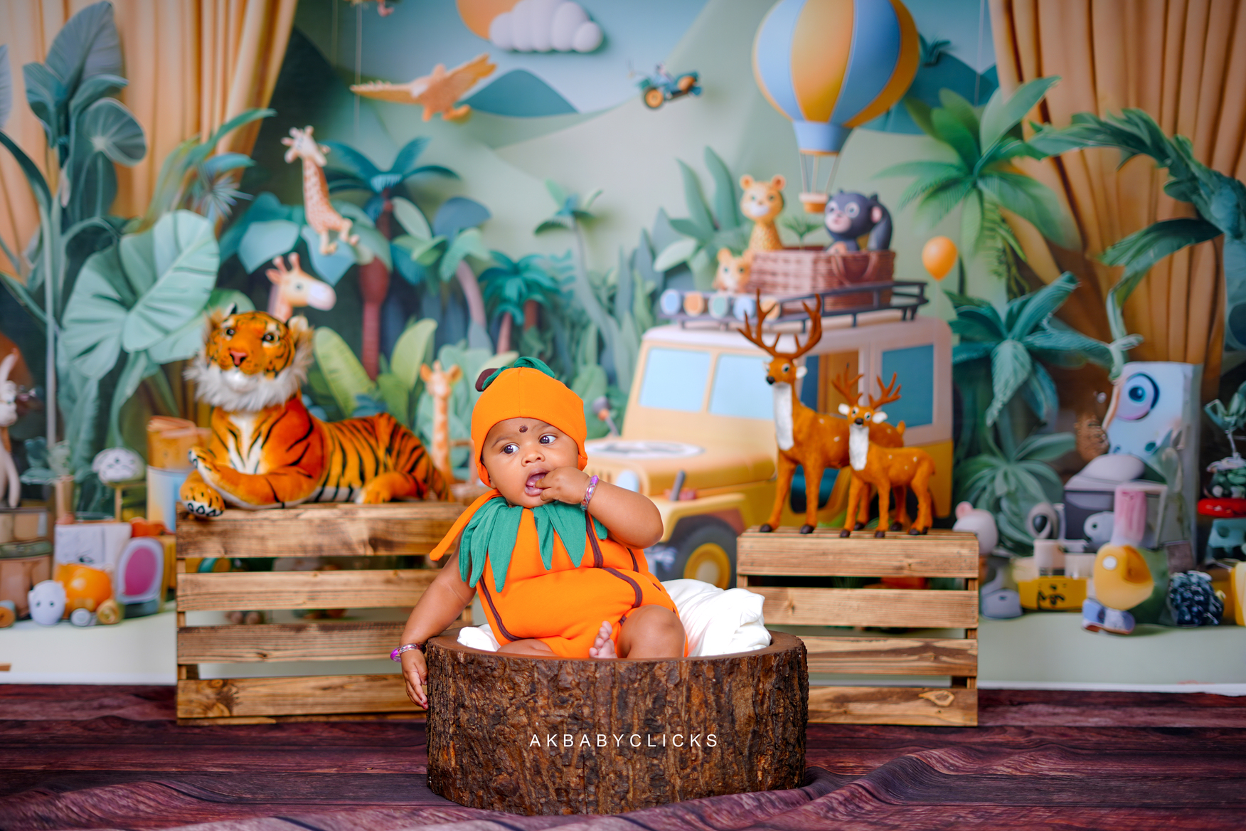 First Birthday Photoshoot Magic: Capturing Baby Inba's Sweetest Smiles & Milestone Memories - AK Photography Coimbatore